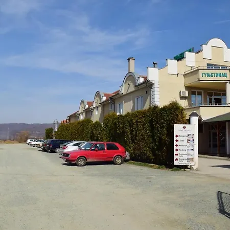 Gunjetinac Vlasotince