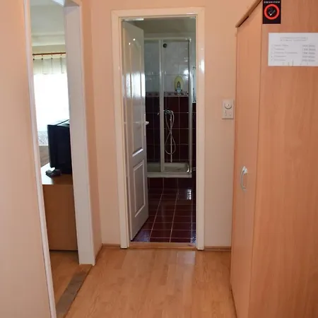 Gunjetinac * Vlasotince