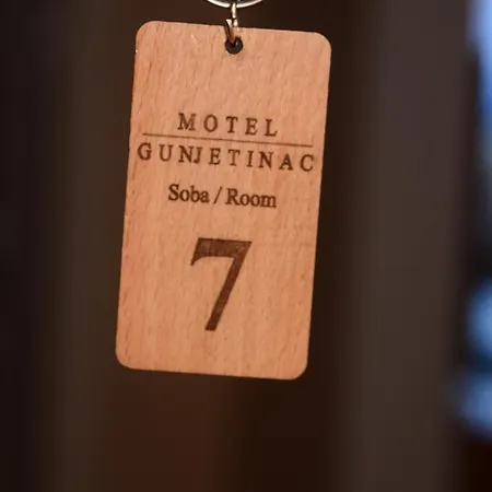Hotel Gunjetinac Vlasotince