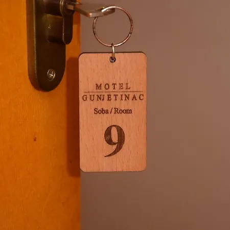 Hotel Gunjetinac *