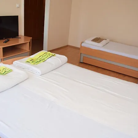 Gunjetinac Vlasotince