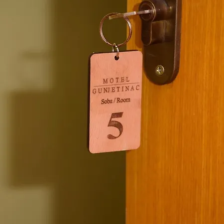 Gunjetinac * Vlasotince