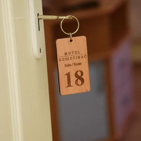 Gunjetinac Hotel Vlasotince