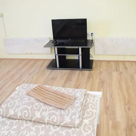 Gunjetinac Hotel Vlasotince